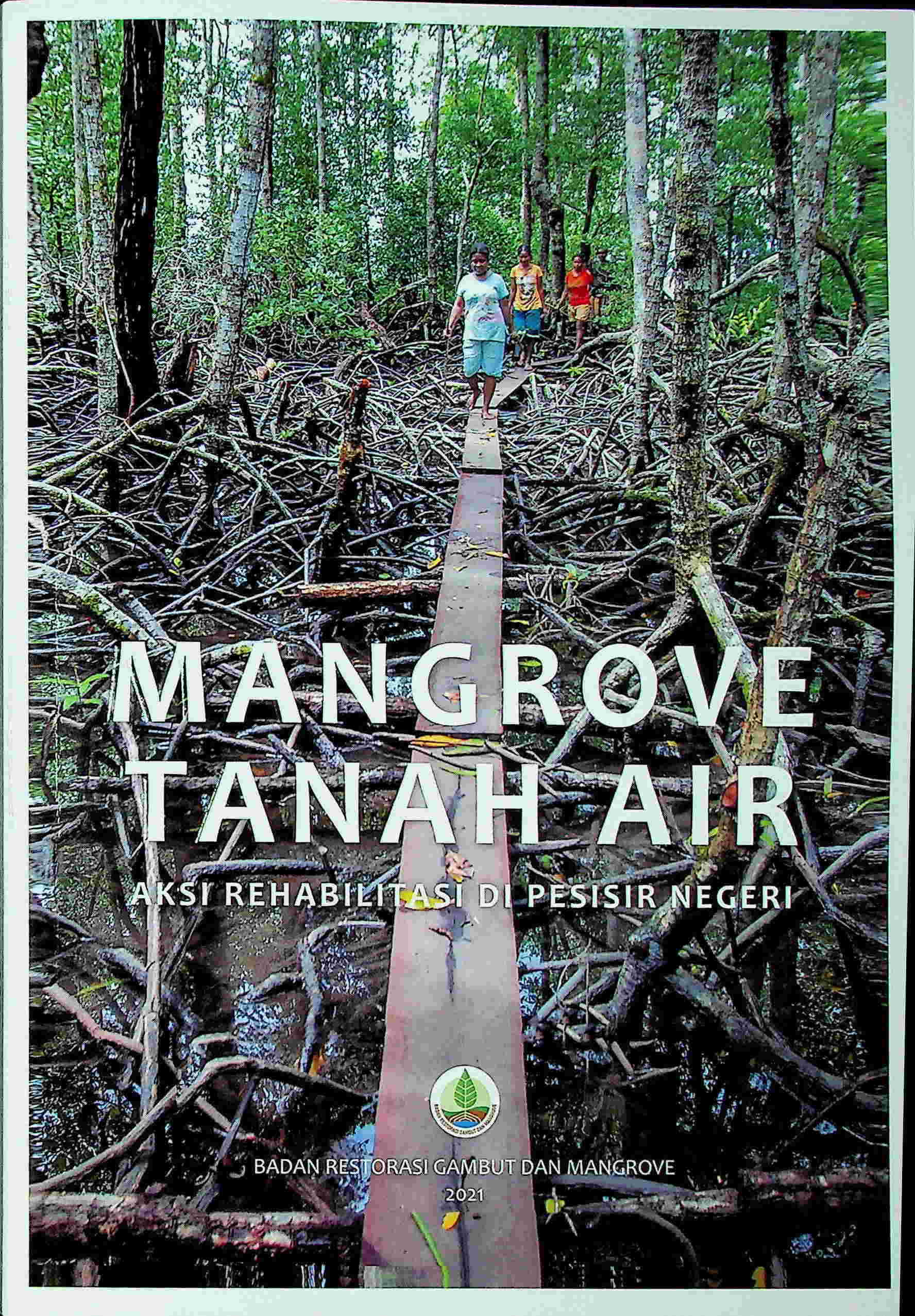 Mangrove Tanah Air: Aksi Rehabilitasi di Pesisir Negara