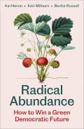 Radical Abundance : How to Win a Green Democratic Future